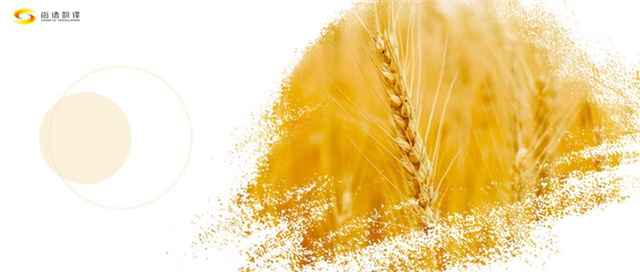 76240337487e17dad2b3a9dc7b8992d5.jpg 圖怪獸_芒種麥穗小麥黃色簡(jiǎn)約公眾號(hào)首圖_副本.jpg